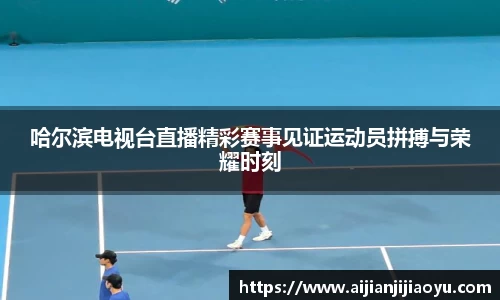 BoB半岛·体育中国官方网站